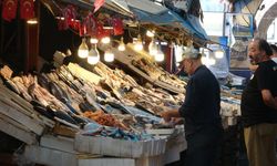 Balıkta Bolluk Yaşanıyor: Mersinli Balıkçılar Mutlu