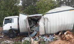 Mersin'de Kamyon Kazası: 2 Yaralı