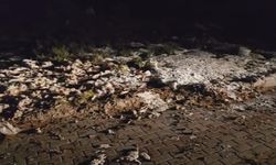Mersin’de Yol Kenarına Dökülen Yoğurtlar Belediyeyi Harekete Geçirdi