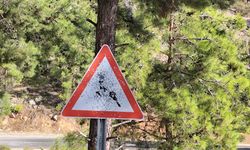 Bozyazı Yayla Yolunda Trafik Levhalarına Kurşunlu Saldırı