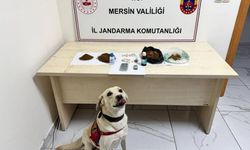 Mersin'de Zehir Tacirlerine Operasyon: 5 şüpheli tutuklandı