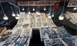Havalar İyi Gitti Balık Fiyatları Artmadı