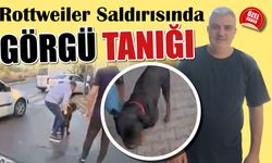 Mersin’de Rottweiler Saldırısı Tanığından Dikkat Çeken İddialar!