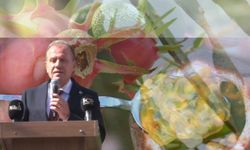 Başkan Vahap Seçer: “Tarımı Küçümsemeyin, Sosyolojik Bir Meseledir”