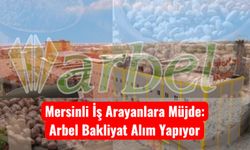 Mersinli İş Arayanlara Müjde: Arbel Bakliyat Alım Yapıyor