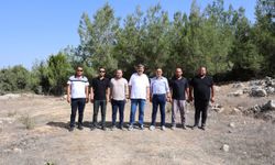 Toroslar’da Sokak Hayvanları için Doğal Yaşam Alanı Kuruluyor