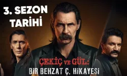 Behzat Ç. Neden Yok, Bitti mi? 9. Bölüm Ne Zaman? 3. Sezon Finali
