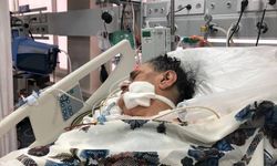 Deli dana hastalığı nedir, belirtileri neler? Deli dana hastalığı insana nasıl bulaşır, ölümcül mü?