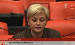 Mersinli Vekilden Gazeteci Cinayetine Tepki