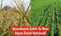 Silifke’de 2025 Yılı Çeltik ve Mısır Biçme Ücretleri Belirlendi