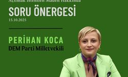 Mersinli Vekilden Sivas'taki Maden Projesine Tepki