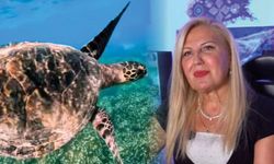 Prof. Dr. Ergene’den Deniz Kaplumbağaları Uyarısı