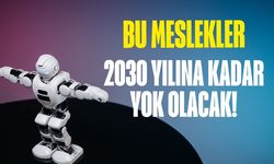 Bu meslekler 2030'u göremeyecek! Yapay zekaya direnen yok olacak