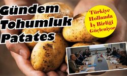 Türkiye ve Hollanda Arasında Tarımsal İş Birliği Güçleniyor