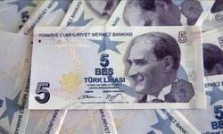 5 TL'nin Arka Yüzündeki Bilim İnsanı Kim? Aydın Sayılı Hangi Özellikleriyle Banknota Girdi?