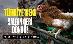Türkiye'deki o salgın hastalık geri döndü! 20 milyon yeniden risk altında