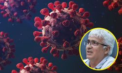 TTB: “SARS-CoV-2 Yeniden Baskın Virüs Haline Geldi”