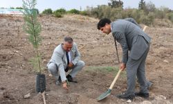 "Şahidimiz Toprak, İmzamız Fidan, Sevdamız Yeşil Vatan" Temasıyla Mersin'de Fidanlar Toprakla Buluştu