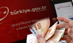 e-Devlet’ten meslek kodu uyarısı: Yanlış kod geç emekliliğe yol açabilir