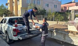 Tarsus’ta Sağlıksız Balık Satışı Önledi: 250 Kg İmha Edildi