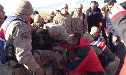 Yoğun Siste Kayboldu, Koyunları Sayesinde Hayatta Kaldı