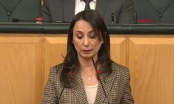 DEM Parti'li Hatimoğulları: Komisyonun Öcalan ile görüşmesi süreci daha da hızlandıracak