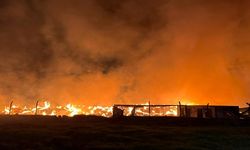 İzmir’de Belediyeye Ait Çöp Depolama Alanında Yangın