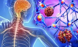 Sadece Beş Duyu Yetmez: İnsan Vücudunun Gizli Algı Sistemleri