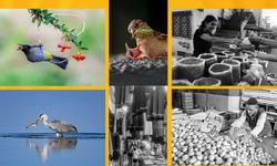 Turan Sezer'in “Kadrajımdan Kuşlar” ve “Salı Pazarı” Sergileri 20 Kasım’da