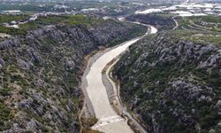 Mersin Sahillerinde Şaşırtan Görüntü