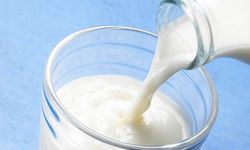 Ticari Süt Üretimi Eylülde 892 Bin 886 Ton Oldu