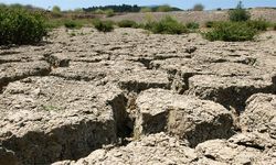 Uzmanından Uyarı: Türkiye’de Kuraklık Tehlikesi Her Yıl Artıyor