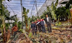 Bozyazı Tarımında Çözüm Arayışı: Hortum Hasarı ve Şap Hastalığı Gündemde