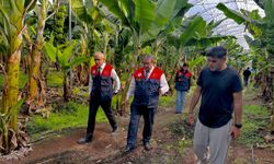 Mersin Tarım Müdürlerinden Muz Üreticisine Ziyaret