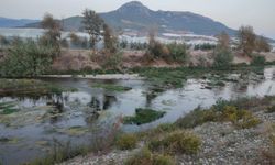 Dragon Çayı Can Çekişiyor: Çevrecilerden Baraj ve HES'lere Sert Tepki