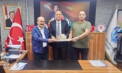 Okuldan Üretime Uzanan Başarı Hikayesi