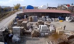 Depoya giren inek çalışanlara saldırdı