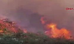 Artvin Hopa’da Bahçe Yangını Ormana Sıçradı, Müdahale Sürüyor