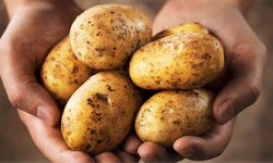 Kasım Ayında Bu Sebzeyi Yerken Dikkat Edin!