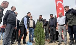 Çamlıyayla’da Geleceğe Nefes: Yüzlerce Fidan Toprakla Buluştu