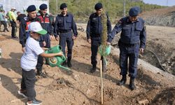 Bozyazı’da Yüzlerce Fidan Toprakla Buluştu