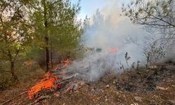 Bozyazı’da Orman Yangını Kontrol Altına Alındı