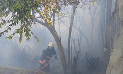 Bozyazı’da dere kenarında çıkan yangın seraları yaktı