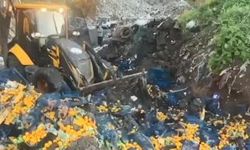 Sarp Sınır Kapısı’nda 6 ton mandalina imha edildi: Zirai ilaç kalıntısı tespit edildi