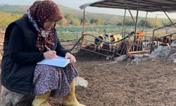 3 Çocuk Annesinin Azmi: Hayvancılıkla Uğraşırken Çocukların İlk Öğretmeni Oldu