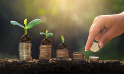 Kasım'da Bunu Yapan 80 Yıl Boyunca Para Kazanıyor!