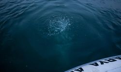 Göl Çekiliyor, Kabarcıklar Fokurduyor: Vatandaşlar Tedirgin