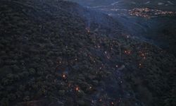 Ekipler Seferber Oldu: Yangın Büyük Ölçüde Kontrol Altında