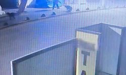 Emekli astsubay, sokak köpeğini tabancayla vurdu