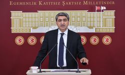 Milletvekili Ekmen'den TBMM’de Tahir Elçi vurgusu: “Cinayetin aydınlatılmaması büyük bir sorumluluktur”